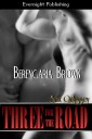 Genre: Menage Romance

Word Count: 12, 845

Heat Level: 4

ISBN: 978-1-926950-14-3

Editor: Kimberly Bowman

Cover Artist: Jinger Heaston