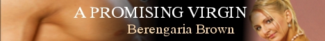 apv-banner.jpg