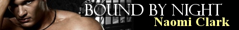 bbn-banner.jpg