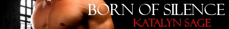 bos-banner.jpg