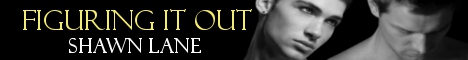 fio-banner.jpg