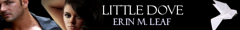 little-dove-banner.jpg