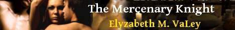 mercenaryknight-banner.jpg mercenaryknight-banner.jpg