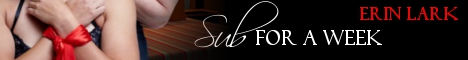 sfaw-banner.jpg