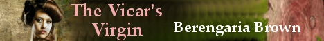 thevicarsvirgin-banner.jpg