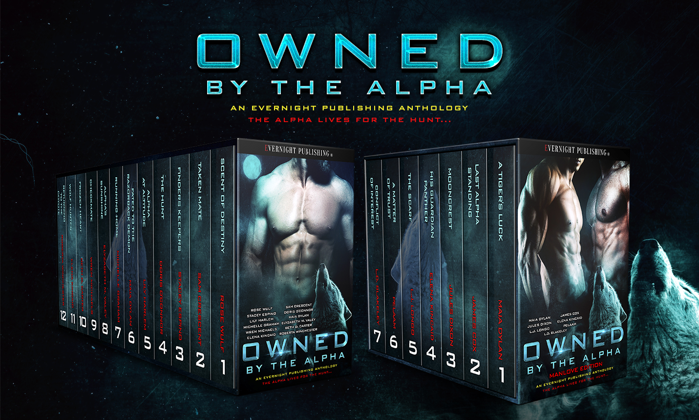 owned-by-the-alpha-antho1-evernightpublishing2017-2boxset.jpg