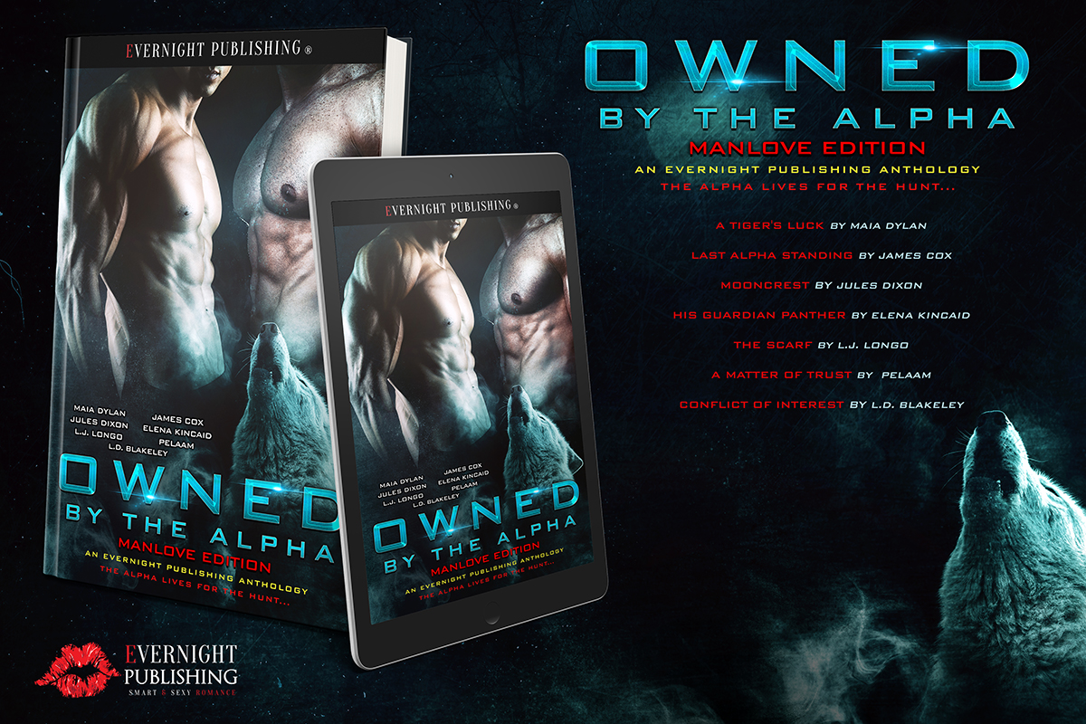 owned-by-the-alpha-antho2-evernightpublishing2017-ereader-small.jpg
